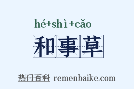 和事草是什么意思的图片